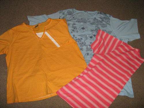 BULK LOT OF PLUS SIZE T-SHITS AND TOPS